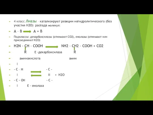 4 класс Лиазы – катализируют реакции негидролитического (без участия Н2О)