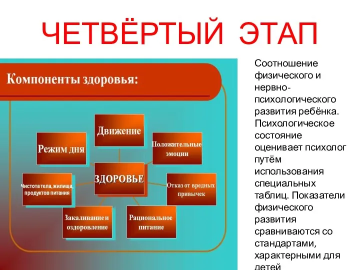 ЧЕТВЁРТЫЙ ЭТАП Соотношение физического и нервно- психологического развития ребёнка. Психологическое