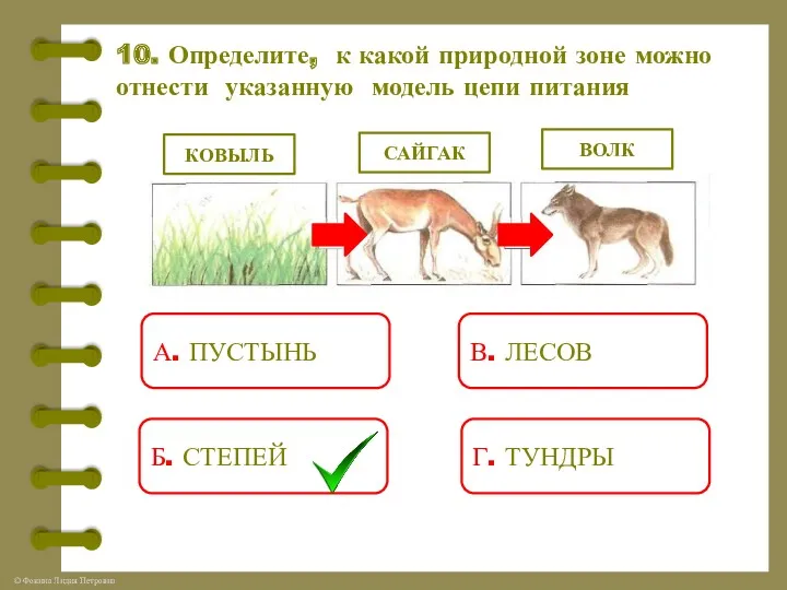 10. Определите, к какой природной зоне можно отнести указанную модель