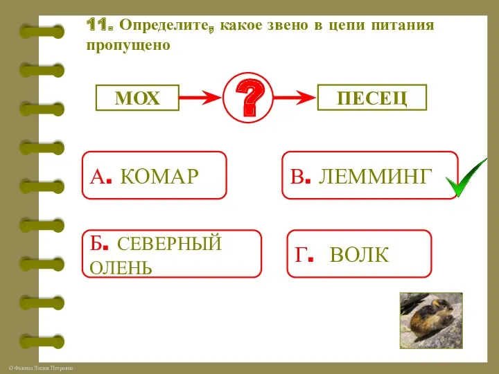 11. Определите, какое звено в цепи питания пропущено МОХ ?