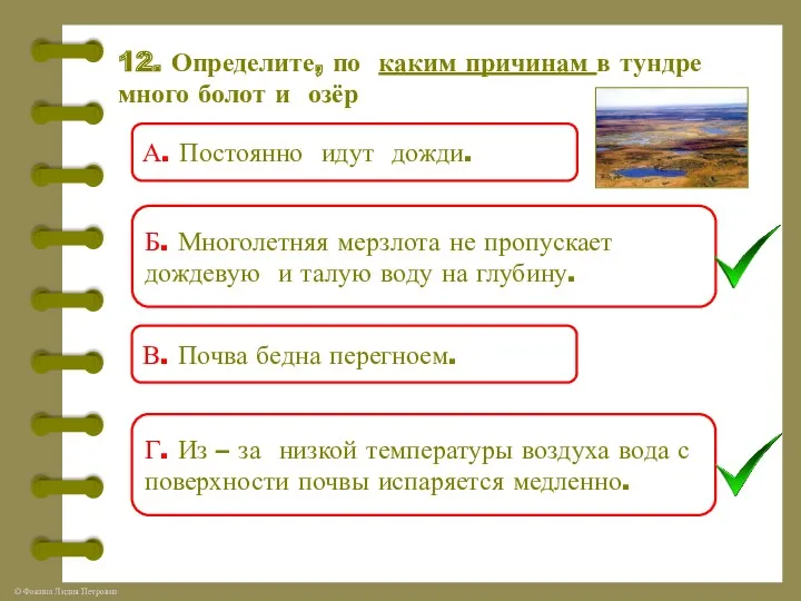 12. Определите, по каким причинам в тундре много болот и