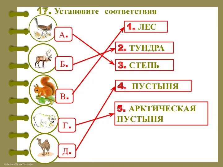 17. Установите соответствия 1. ЛЕС А. Б. В. Г. Д.