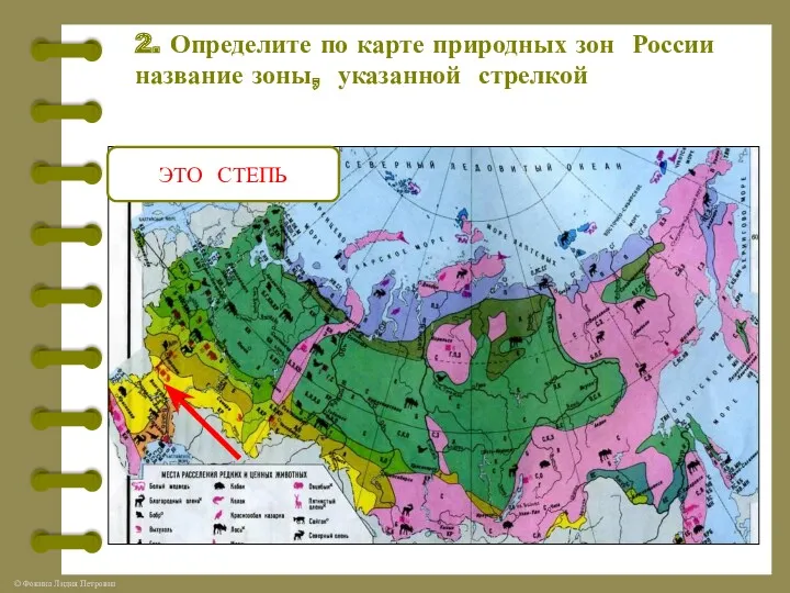 2. Определите по карте природных зон России название зоны, указанной стрелкой ЭТО СТЕПЬ