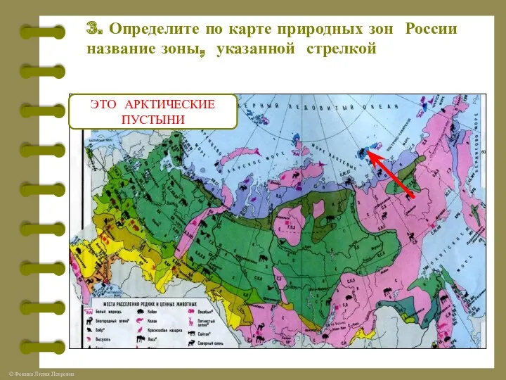 3. Определите по карте природных зон России название зоны, указанной стрелкой ЭТО АРКТИЧЕСКИЕ ПУСТЫНИ