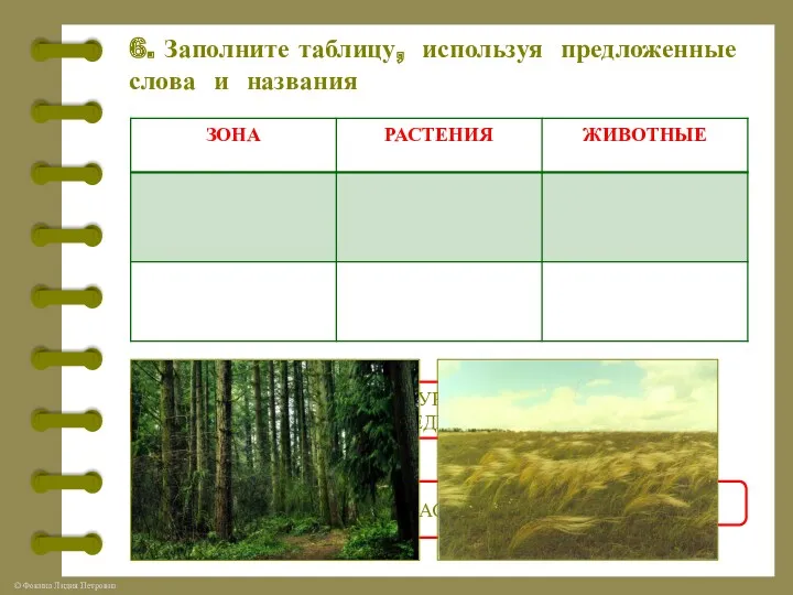 6. Заполните таблицу, используя предложенные слова и названия ЛЕС СТЕПЬ ХОМЯК БУРЫЙ МЕДВЕДЬ СМОРОДИНА ВАСИЛЁК