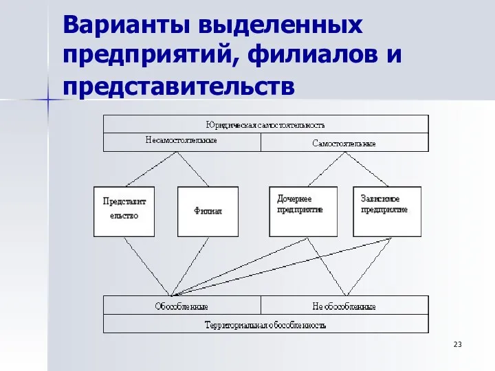 Варианты выделенных предприятий, филиалов и представительств