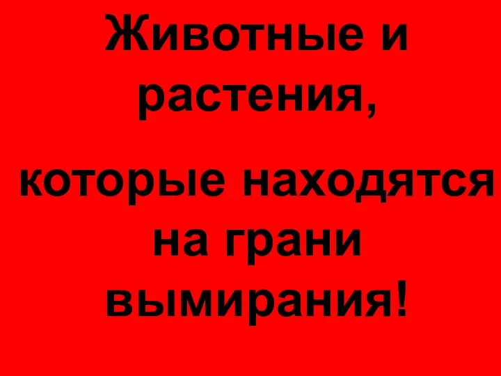 Животные и растения, которые находятся на грани вымирания!