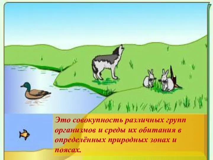 Это совокупность различных групп организмов и среды их обитания в определённых природных зонах и поясах.