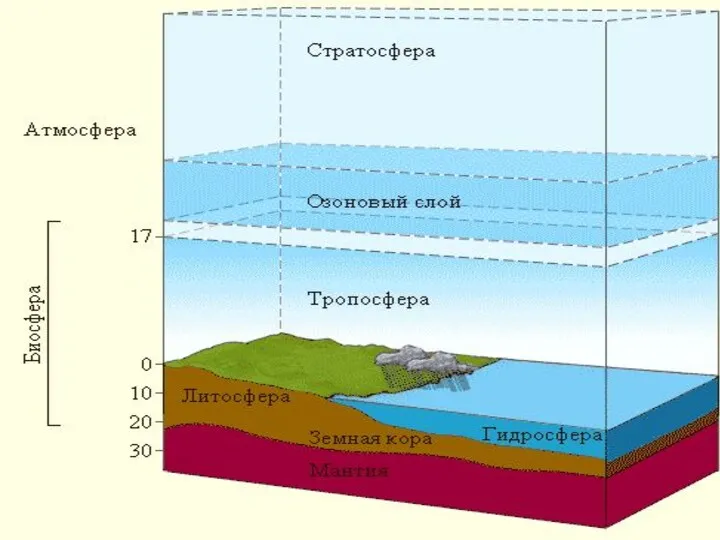 Сколько этажей у биосферы?