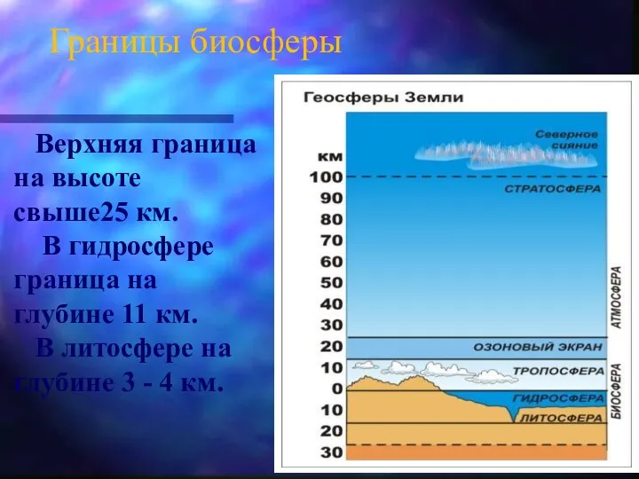 Границы биосферы Верхняя граница на высоте свыше25 км. В гидросфере