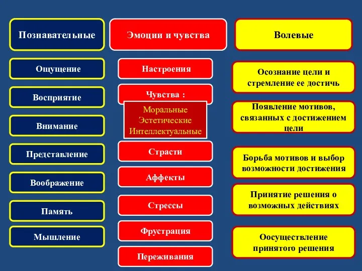 Чувства : Волевые Осознание цели и стремление ее достичь Появление