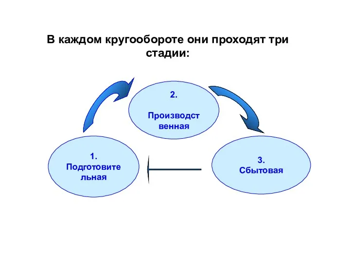 В каждом кругообороте они проходят три стадии: