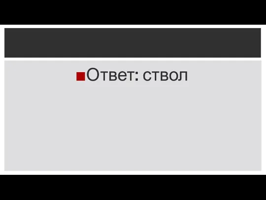 Ответ: ствол