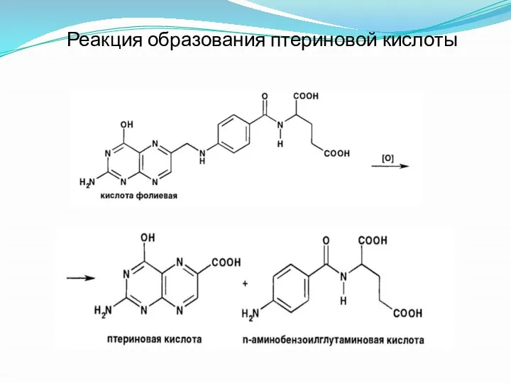 Реакция образования птериновой кислоты