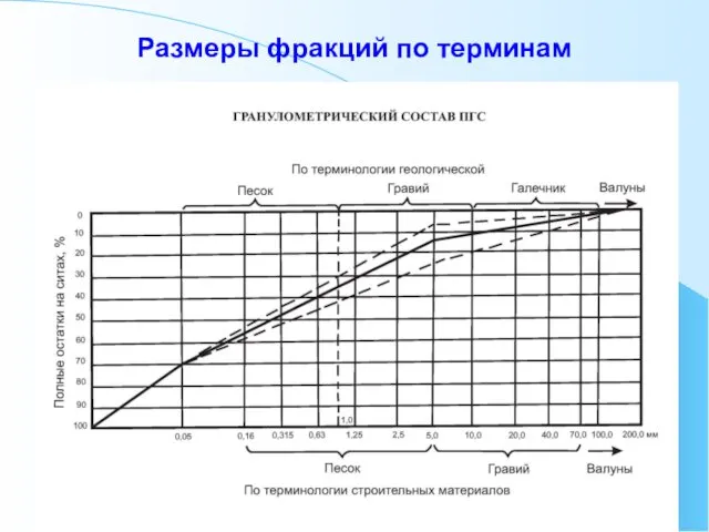 Размеры фракций по терминам