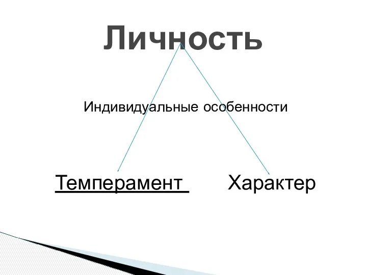 Индивидуальные особенности Темперамент Характер Личность