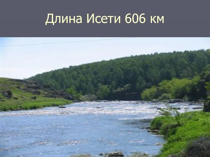 Длина Исети 606 км