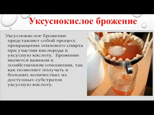 Уксуснокислое брожение