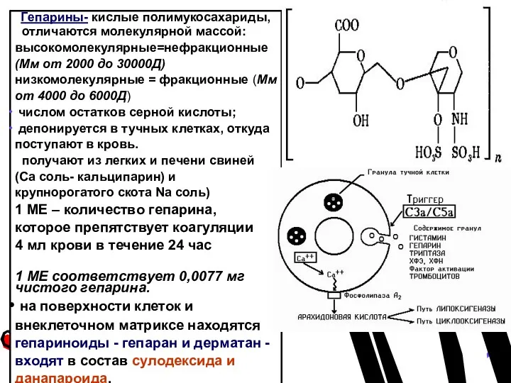 Гепарины- кислые полимукосахариды, отличаются молекулярной массой: высокомолекулярные=нефракционные (Мм от 2000 до 30000Д) низкомолекулярные