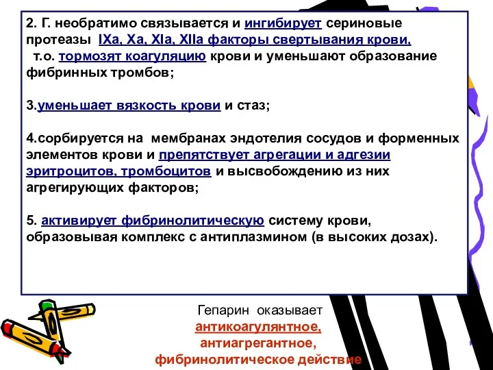 2. Г. необратимо связывается и ингибирует сериновые протеазы IХа, Ха, ХIа, ХIIа факторы