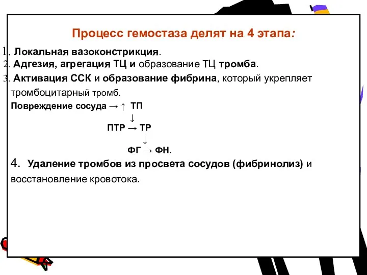 Процесс гемостаза делят на 4 этапа: Локальная вазоконстрикция. Адгезия, агрегация ТЦ и образование