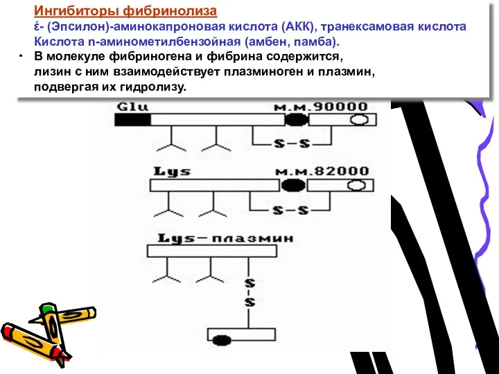 Ингибиторы фибринолиза έ- (Эпсилон)-аминокапроновая кислота (АКК), транексамовая кислота Кислота n-аминометилбензойная (амбен, памба). В