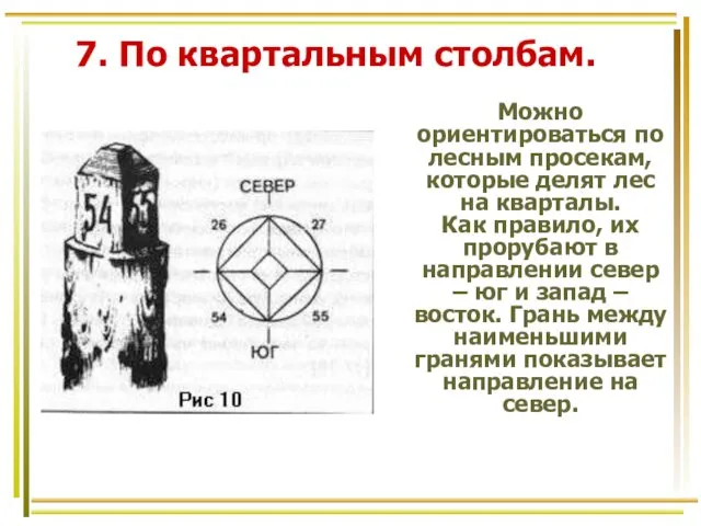 7. По квартальным столбам. Можно ориентироваться по лесным просекам, которые