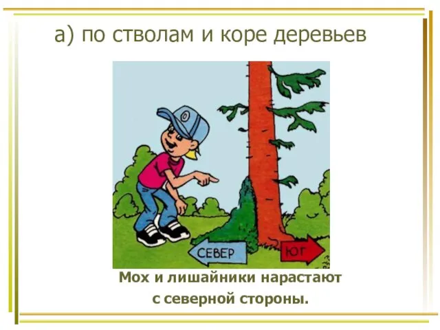 а) по стволам и коре деревьев Мох и лишайники нарастают с северной стороны.