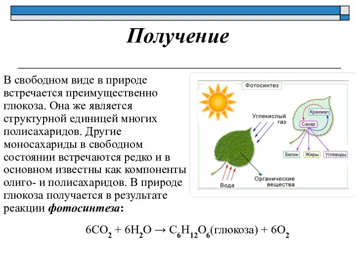 Получение В свободном виде в природе встречается преимущественно глюкоза. Она
