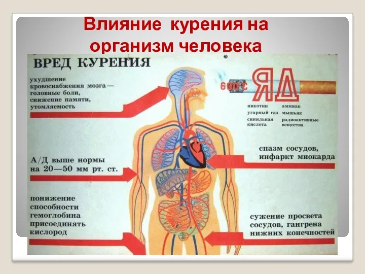 Влияние курения на организм человека