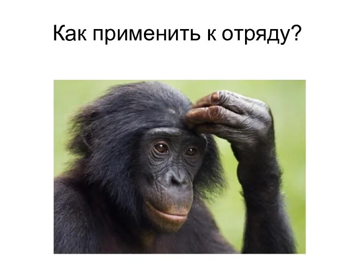 Как применить к отряду?