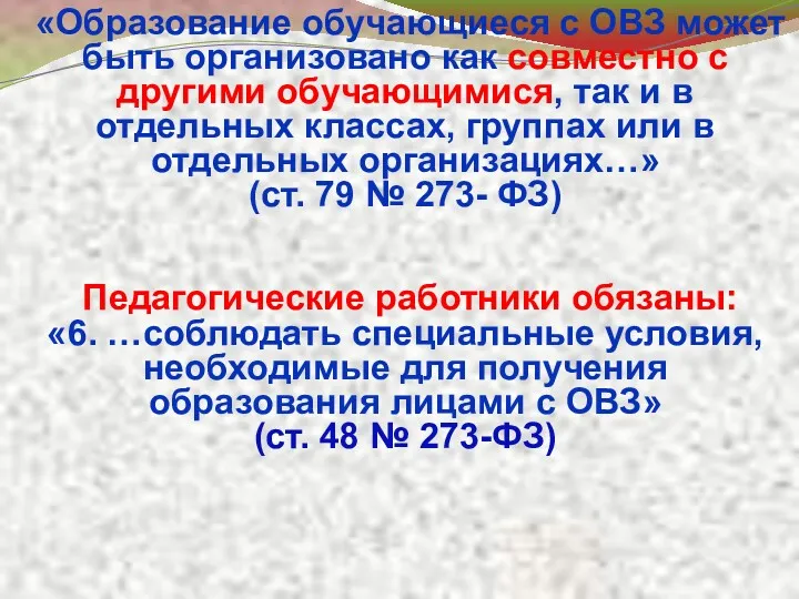 «Образование обучающиеся с ОВЗ может быть организовано как совместно с