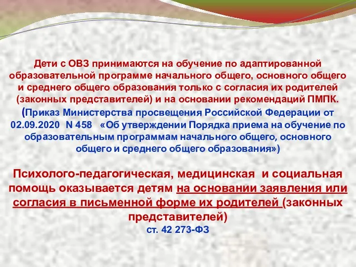 Дети с ОВЗ принимаются на обучение по адаптированной образовательной программе