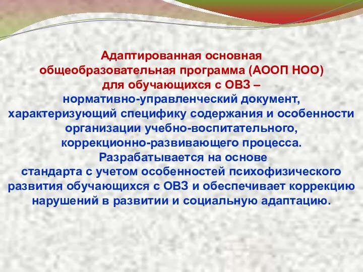 Адаптированная основная общеобразовательная программа (АООП НОО) для обучающихся с ОВЗ