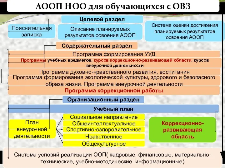 АООП НОО для обучающихся с ОВЗ Содержательный раздел Программа формирования