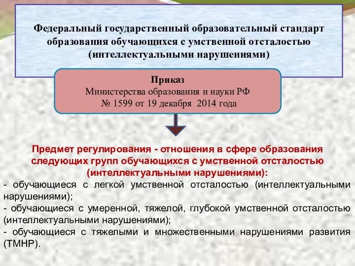 Федеральный государственный образовательный стандарт образования обучающихся с умственной отсталостью (интеллектуальными