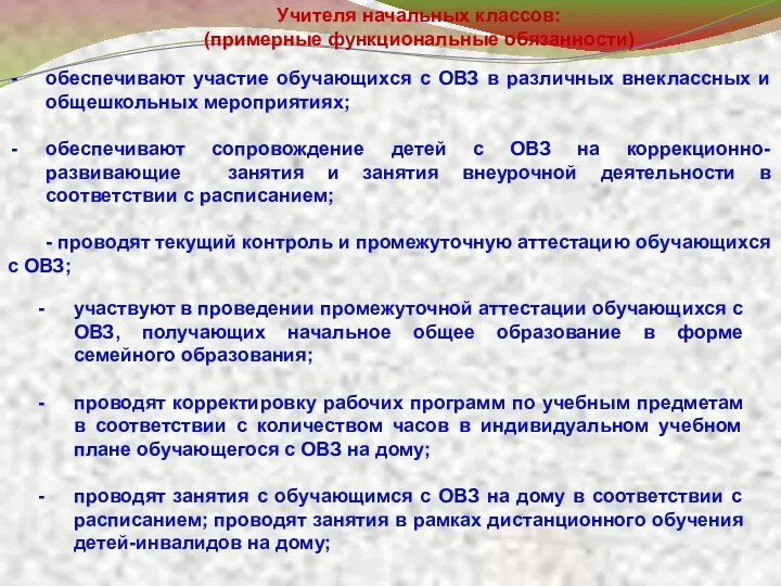 обеспечивают участие обучающихся с ОВЗ в различных внеклассных и общешкольных