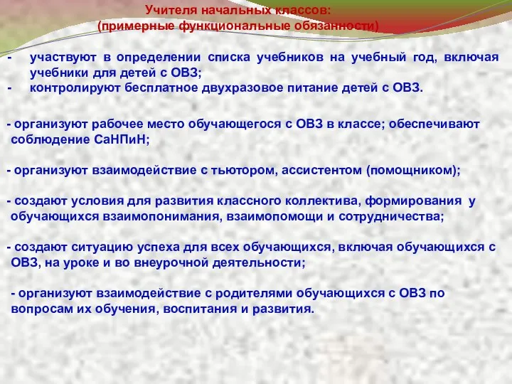 организуют рабочее место обучающегося с ОВЗ в классе; обеспечивают соблюдение