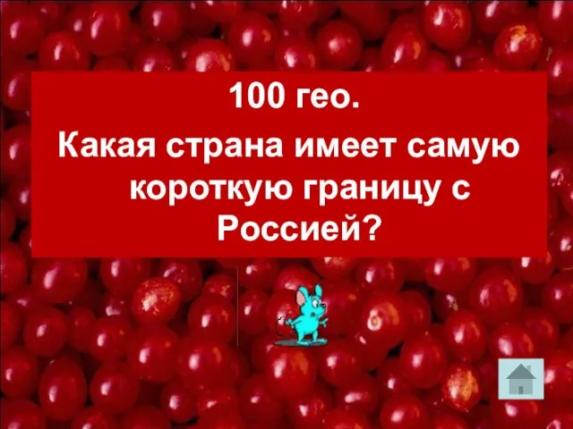 100 гео. Какая страна имеет самую короткую границу с Россией?