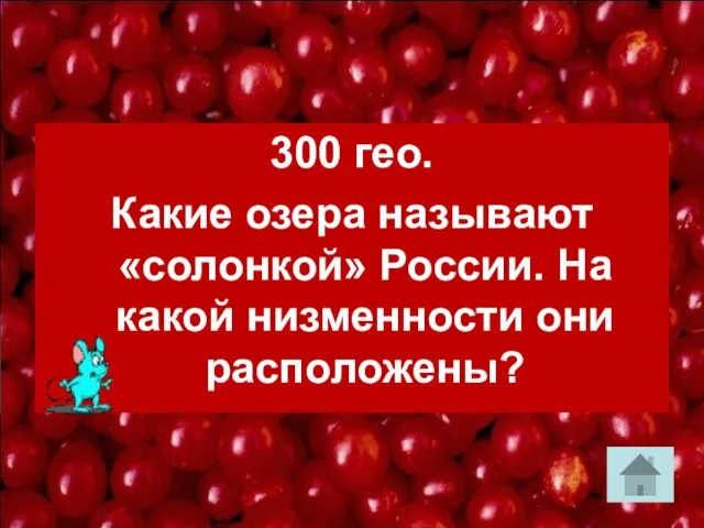 300 гео. Какие озера называют «солонкой» России. На какой низменности они расположены?