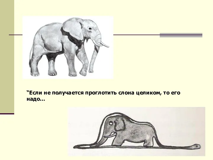 “Если не получается проглотить слона целиком, то его надо…