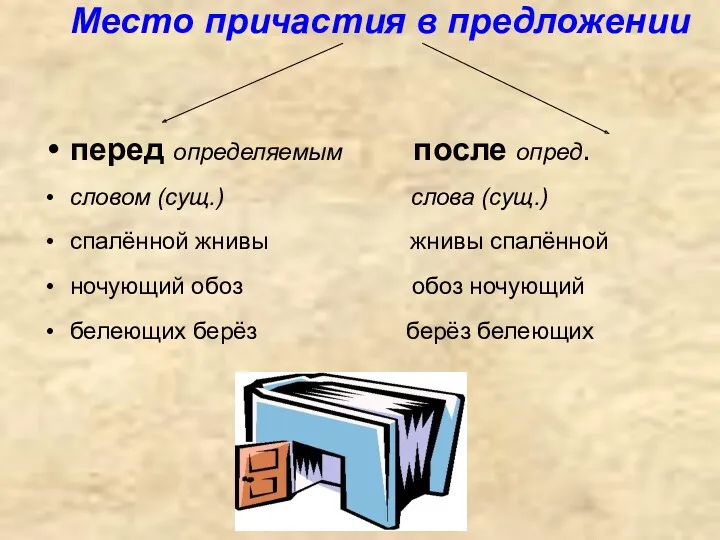 Место причастия в предложении перед определяемым после опред. словом (сущ.)