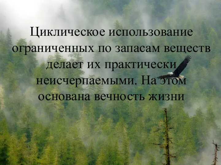 Циклическое использование ограниченных по запасам веществ делает их практически неисчерпаемыми. На этом основана вечность жизни