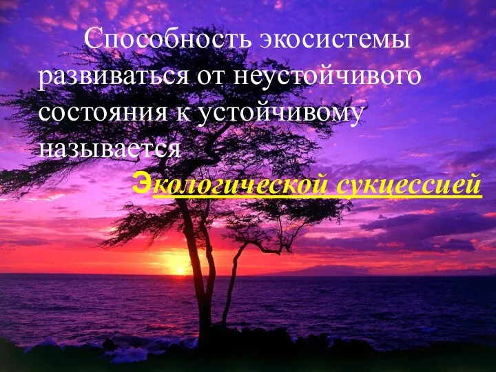 Способность экосистемы развиваться от неустойчивого состояния к устойчивому называется Экологической сукцессией