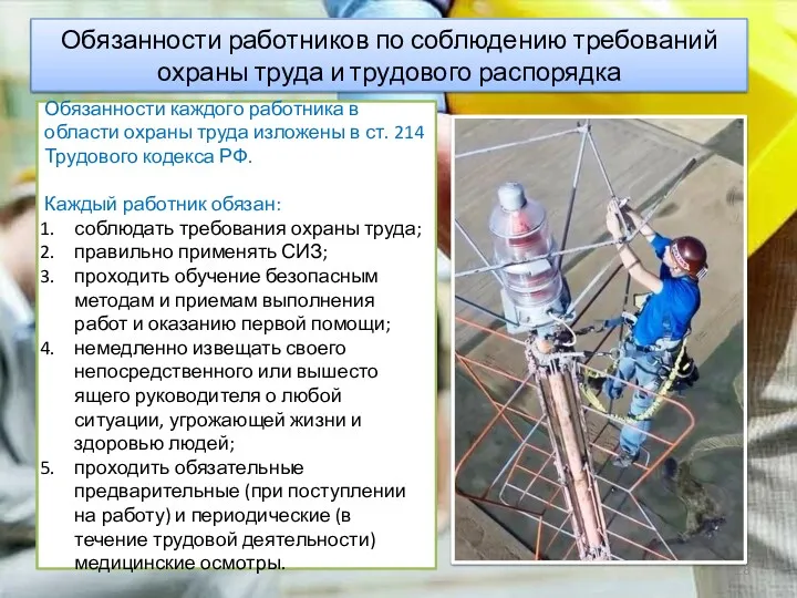 Обязанности работников по соблюдению требований охраны труда и трудового распорядка