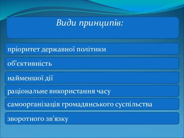 Види принципів: пріоритет державної політики об’єктивність самоорганізація громадянського суспільства найменшої дії раціональне використання часу зворотного зв’язку