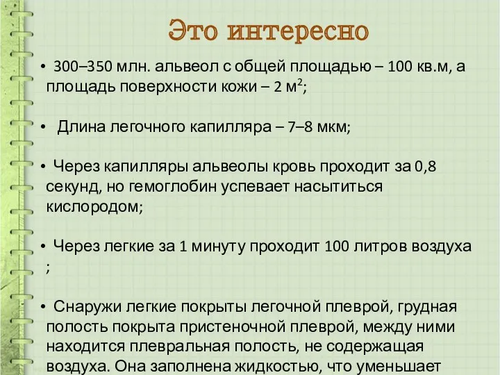 Это интересно 300–350 млн. альвеол с общей площадью – 100