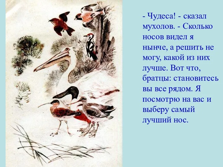 - Чудеса! - сказал мухолов. - Сколько носов видел я