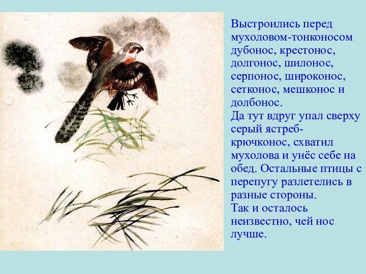 Выстроились перед мухоловом-тонконосом дубонос, крестонос, долгонос, шилонос, серпонос, широконос, сетконос,