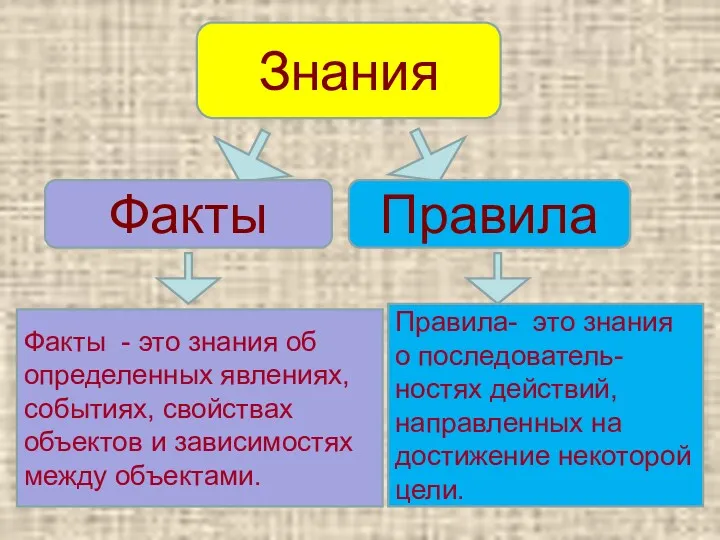 Знания Факты Правила Факты - это знания об определенных явлениях,